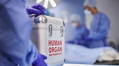 Houston hospital halts liver and kidney transplants after doctor allegedly manipulates some records for candidates