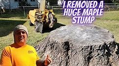 I Removed a Large Tree Stump!