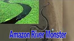 Anaconda: Amazon River Monster - Descendant of Titanoboa