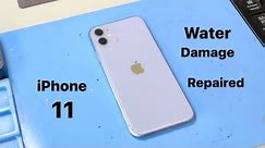 iPhone 11 Water Damage - Fixed