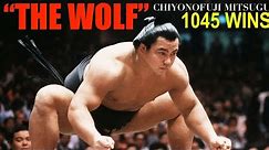 The MIKE TYSON of SUMO WRESTLING (The Wolf Tribute)