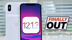 iOS 12.1.3 Finally Released! Should You Update?