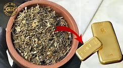 Gold Recovery from High Grade Electronic Pins | Gold Recovery from Computer Pins | Gold Recovery