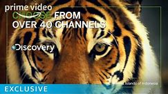 Welcome to Amazon Channels | Prime Video