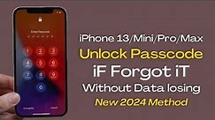 iPhone 13 Series Unlock! How To Unlock iPhone 13|Mini|Pro|Max iF Forgot Passcode without Data Losing