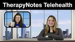 Basic Telehealth in TherapyNotes®