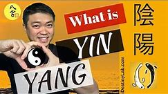 Learn BaZi | Read BaZi | What is YIN YANG (八字 | 阴阳)?