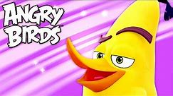 Angry Birds | Chuck, Chuck, Chuck!