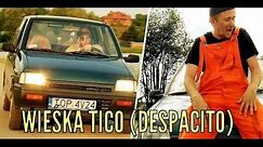 Wieśka Tico - Kabaret Czwarta Fala (Parodia "DESPACITO") - oficjalne wideo + tekst