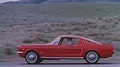 The Full Line 1965 - Mustang 2 plus 2