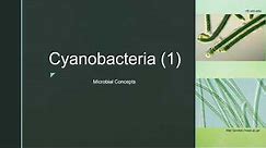 Cyanobacteria 1 | Blue Green Algae| Cell structure | Examples | Reproduction