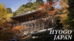 HYOGO JAPAN in 8K [Summer Autumn] - 兵庫