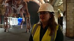 The Largest Dinosaur Ever Known to Have Lived Now Complete and On Display in London