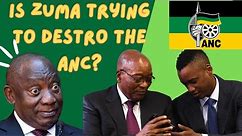 Unraveling Zuma's Strategic Moves in the MK: Political Chess