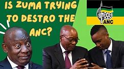 Unraveling Zuma's Strategic Moves in the MK: Political Chess