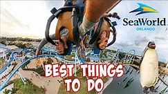 BEST Things to do at SeaWorld Orlando | Christmas Celebration!