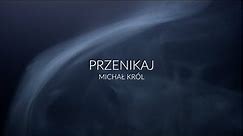 Michał Król - Przenikaj (lyric video)