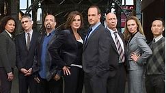 Law & Order: Special Victims Unit: Season 10 Episode 14 Transitions