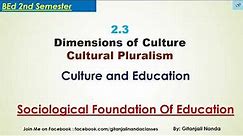 2.3- Culture pluralism//Dimensions of Culture