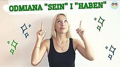 Odmiana czasowników "sein" (być) i "haben" (mieć) po niemiecku! - Niemiecki od podstaw