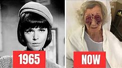 GET SMART 1965–1970 Cast THEN and Now l All Cast Passed Away Tragically!!