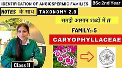 Caryophyllaceae Family 🌼|| Floral diagram and formulas || Taxonomy || Economic importance