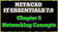 NETACAD IT Essentials 7, ✔️ Chapter 5: Networking Concepts