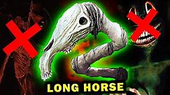 The FULL History & Biology of the Long Horse...