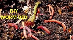 HOW TO: Make A Worm Bed For Fishing