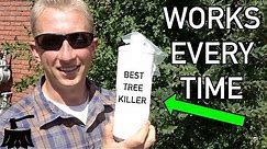 How To Kill An Elm Tree [For Good]