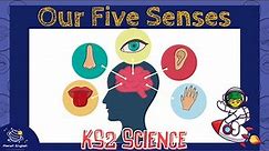 Our Five Senses | KS2 Science | STEM and Beyond
