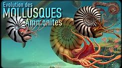 Les Ammonites (Mollusques 2/3)