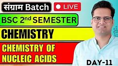 Chemistry Of Nucleic Acids!B.Sc 2nd Semester Chemistry With Objective!Day-11#bedkdian