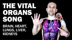 THE ORGANS SONG (Brain, Heart, Lungs, Liver, Kidneys)