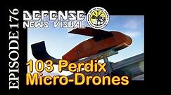 MILITARY 103 Perdix Micro-Drones Released by Jets