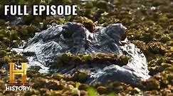 Swamp People: Risky Mission Battling Giant Gators (S11, E1) | Full Episode