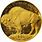 $50 Gold Buffalo Coin