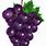 1 Grape Clip Art