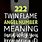 222 Twin Flame