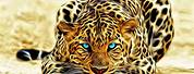 3D Cheetah Wallpaper