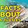 5 Facts About Sea Turtles