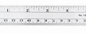 6 Inch Ruler with Fractions