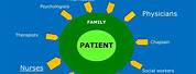 6s Model of Palliative Care