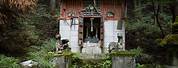 Abandoned Shrines in Japan