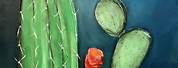 Abstract Paintings of Cactus