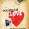 Accidental Love Book