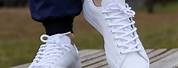 Adidas White Shoes Famous Footwear