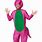 Adult Barney Costume