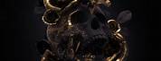 Aesthetic Art Black Gold Skull