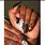 African American Nails
